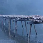 La Aux Pommes - Poupehan Sur Semois * Bouillon