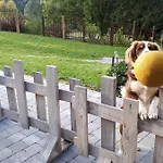 La Aux Pommes - Poupehan Sur Semois Lägenhet