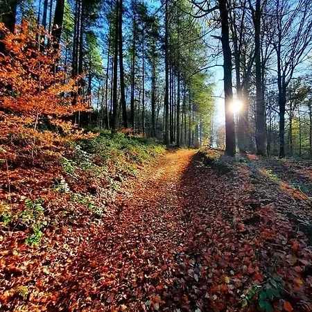 La Aux Pommes - Poupehan Sur Semois Bouillon