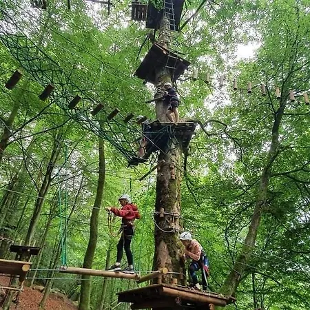 Appartement La Aux Pommes - Poupehan Sur Semois Bouillon