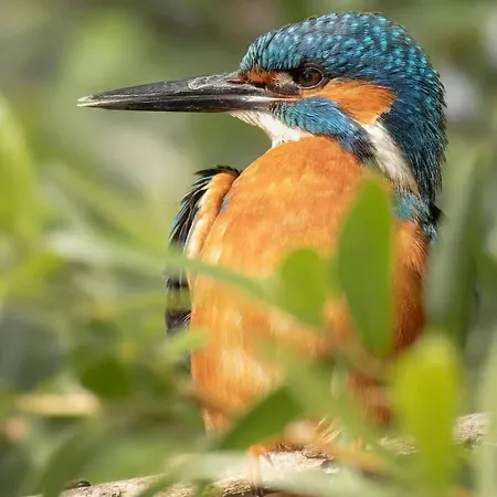 La Aux Pommes - Poupehan Sur Semois Appartement Bouillon