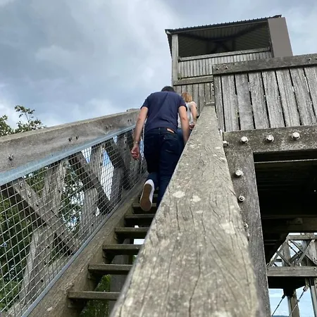 Appartement La Aux Pommes - Poupehan Sur Semois *