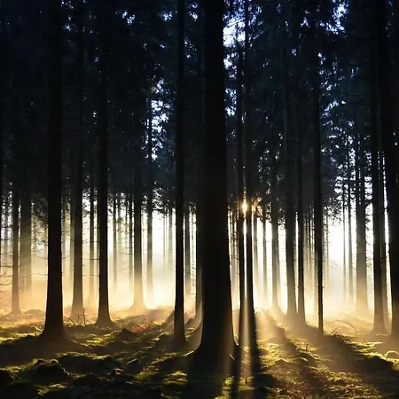 La Aux Pommes - Poupehan Sur Semois