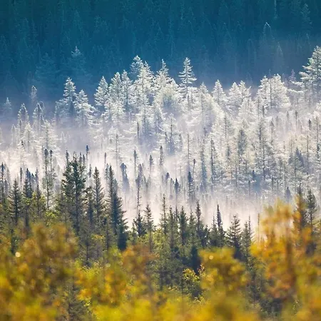 La Aux Pommes - Poupehan Sur Semois Appartement