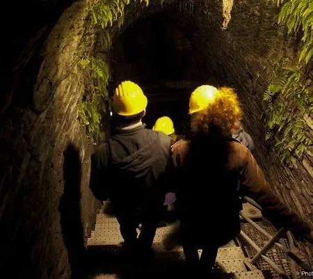 La Aux Pommes - Poupehan Sur Semois * Bouillon