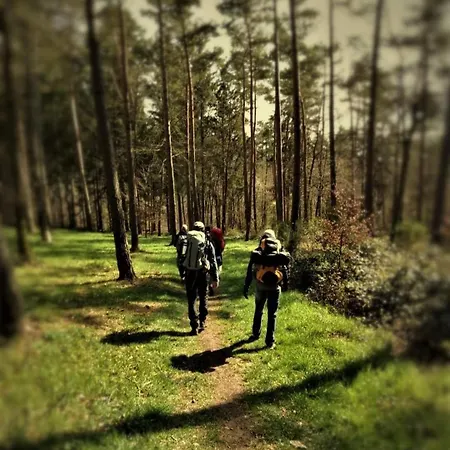 Appartement La Aux Pommes - Poupehan Sur Semois *
