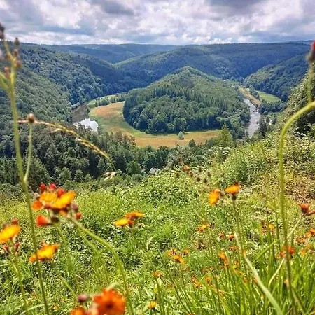 La Aux Pommes - Poupehan Sur Semois Appartement
