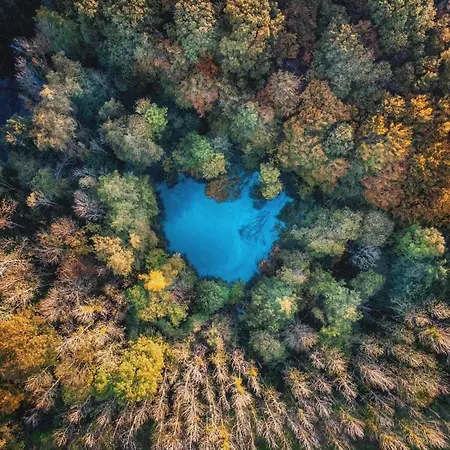 La Aux Pommes - Poupehan Sur Semois Bouillon