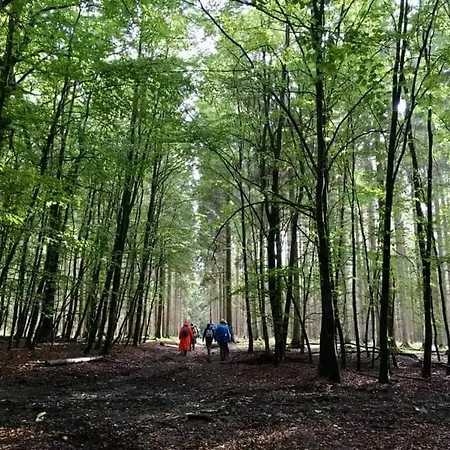 La Aux Pommes - Poupehan Sur Semois * Bouillon