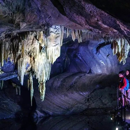 Appartement La Aux Pommes - Poupehan Sur Semois Bouillon