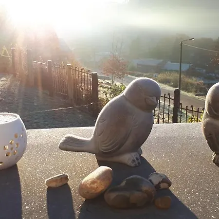 Appartement La Aux Pommes - Poupehan Sur Semois *
