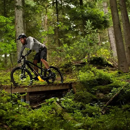 La Aux Pommes - Poupehan Sur Semois Bouillon